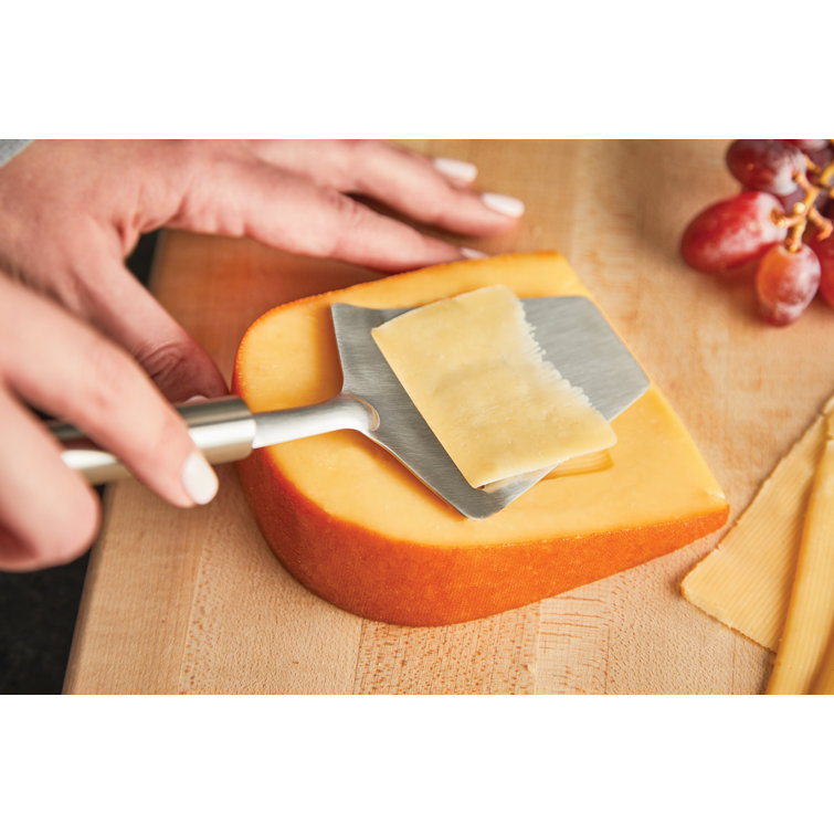 Elegant Silver Stainless Steel Cheese Tools Set with Serrated Knife