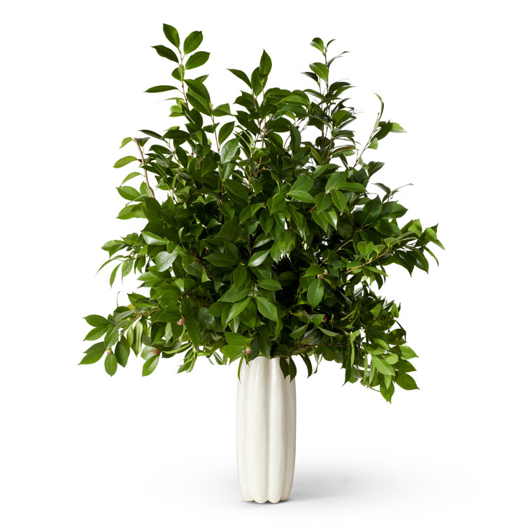 Elongated Cream Porcelain Seashell-Inspired Table Vase