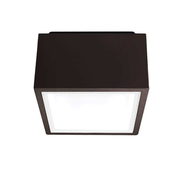 Bronze Glass LED Indoor/Outdoor Flush Mount Light