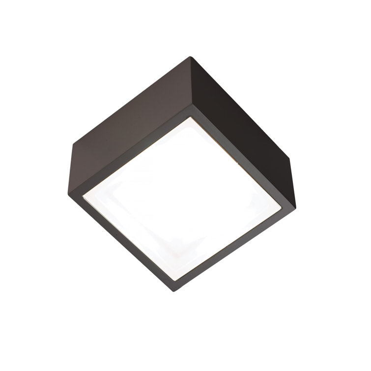 Bronze Glass LED Indoor/Outdoor Flush Mount Light