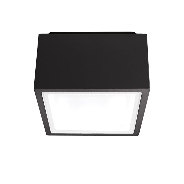 Black Aluminum LED Indoor/Outdoor Flush Mount Light