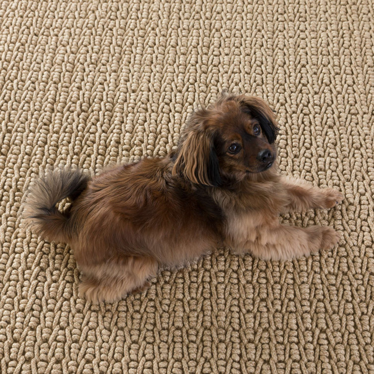 Veranda Natural Beige 3ft x 5ft Indoor/Outdoor Textured Rug