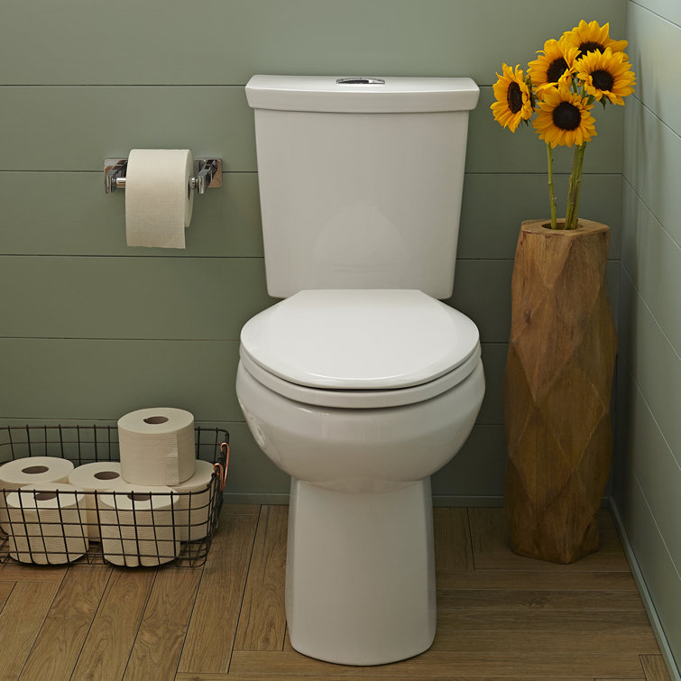 White Vitreous China Dual Flush Elongated Two-Piece Toilet