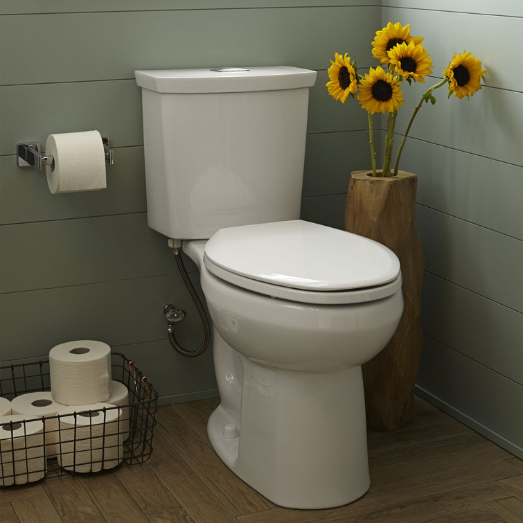 White Vitreous China Dual Flush Elongated Two-Piece Toilet