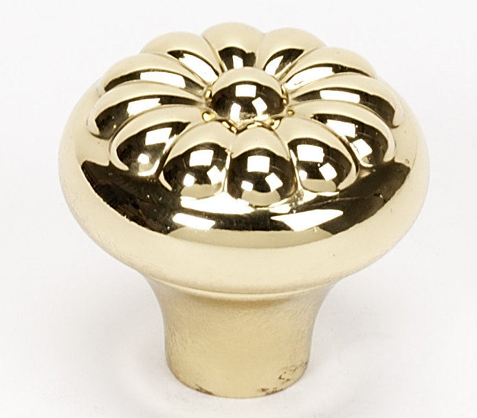 Polished Brass Traditional Round Cabinet Knob with Mounting Hardware