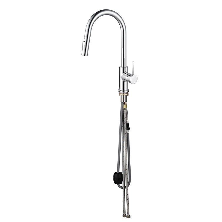 Brushed Nickel Single Handle Pull-Out Kitchen Faucet with Soap Dispenser