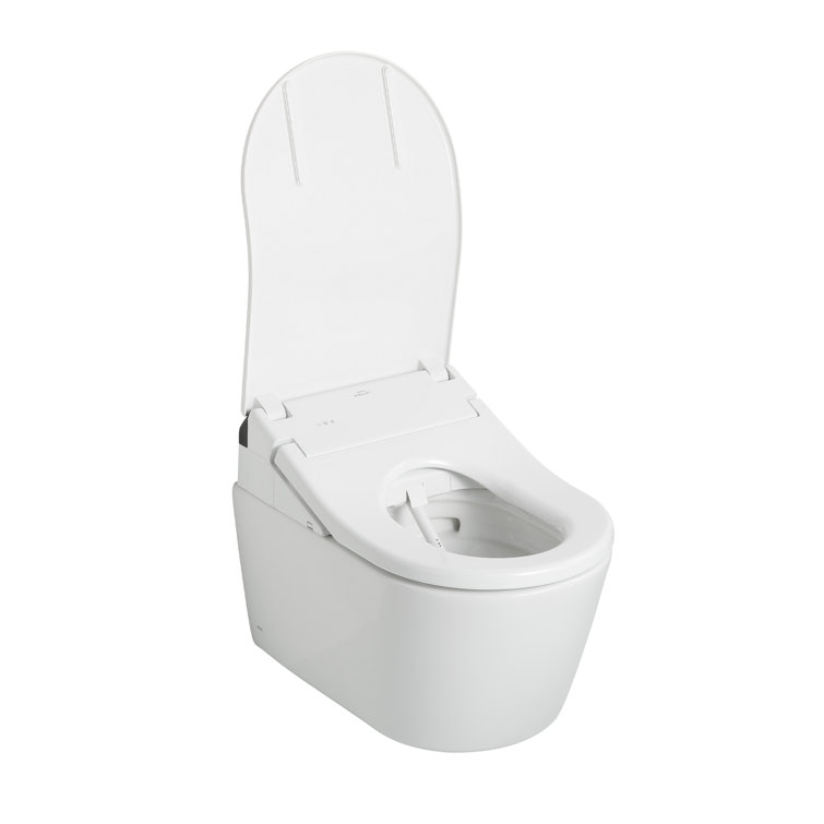 Matte Silver Round Wall Mounted Dual Flush Toilet
