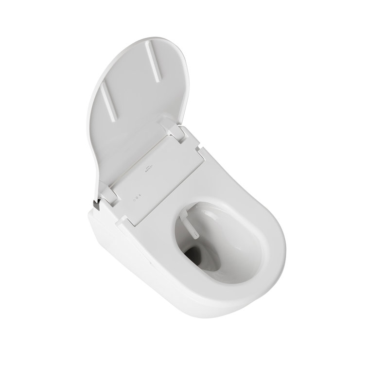 Matte Silver Round Wall Mounted Dual Flush Toilet