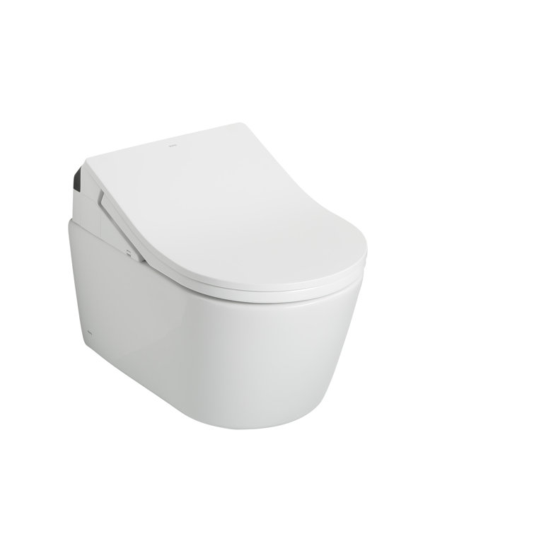 Matte Silver Round Wall Mounted Dual Flush Toilet