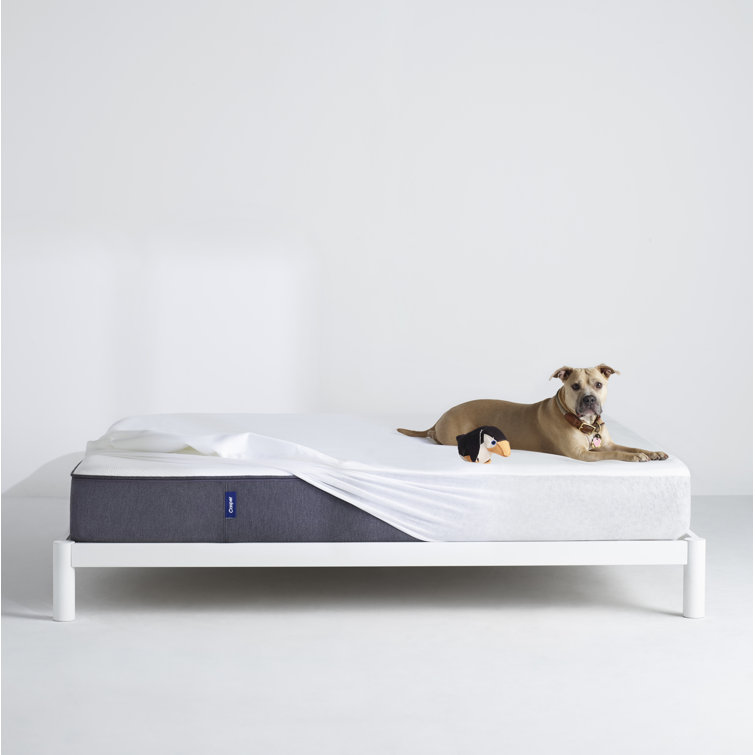 Twin XL White Waterproof Mattress Protector with Zipper
