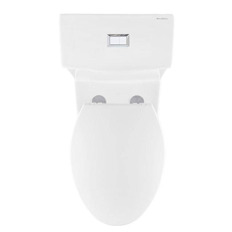 Glossy White Elongated Dual Flush One-Piece Toilet
