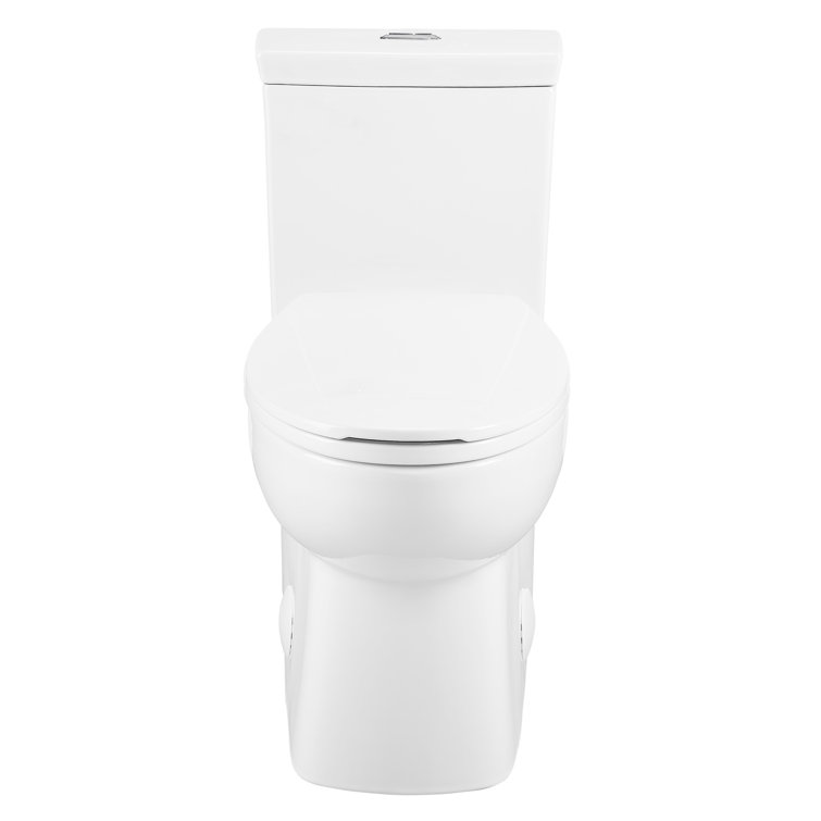 Glossy White Elongated Dual Flush One-Piece Toilet