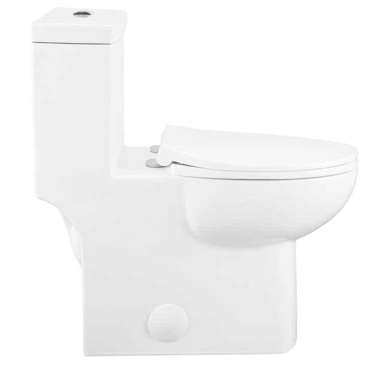 Glossy White Elongated Dual Flush One-Piece Toilet