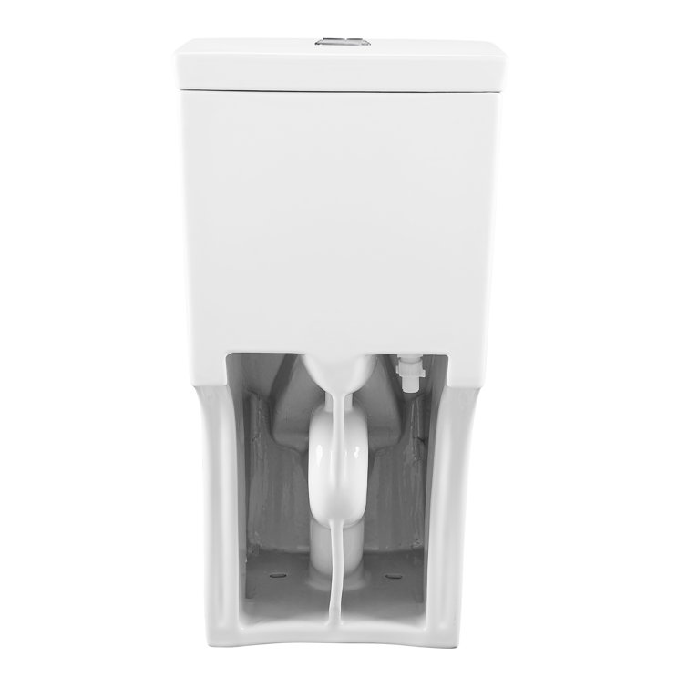 Glossy White Elongated Dual Flush One-Piece Toilet