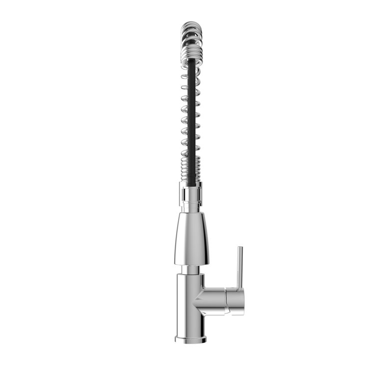 Polished Chrome Single Handle Pull-Down Kitchen Faucet with Spray