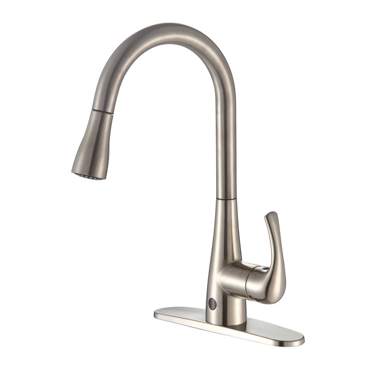 Brushed Nickel Single Handle Pull-Down Kitchen Faucet with Spray