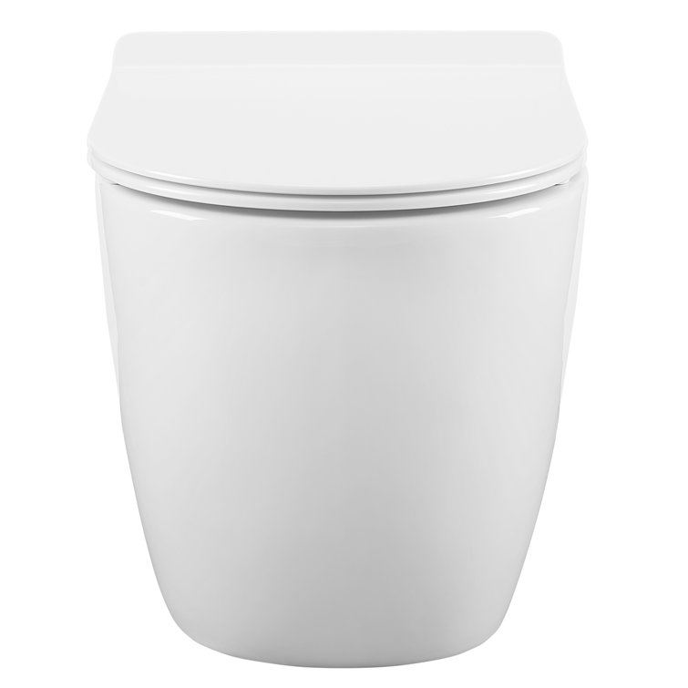 White Wall-Mounted Dual Flush Elongated Toilet