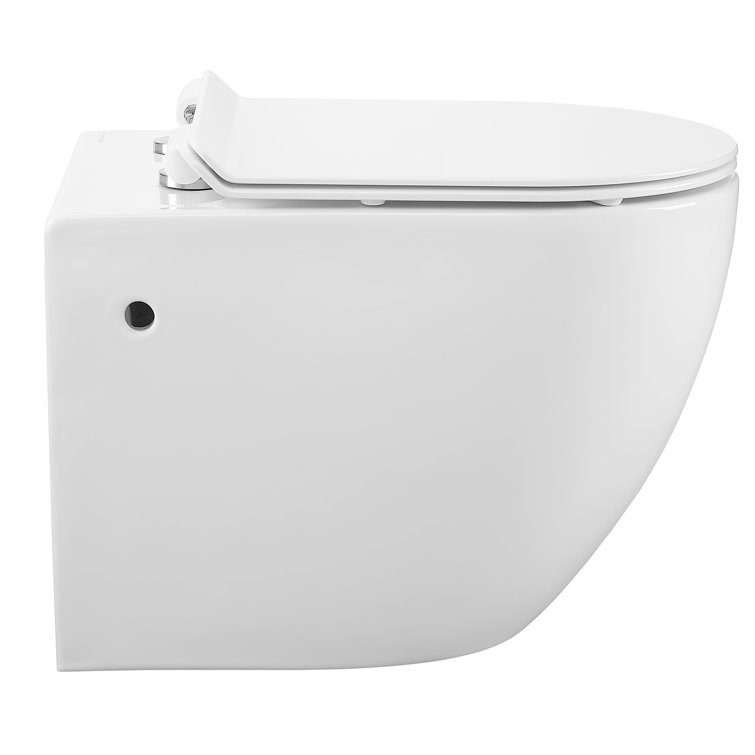 White Wall-Mounted Dual Flush Elongated Toilet