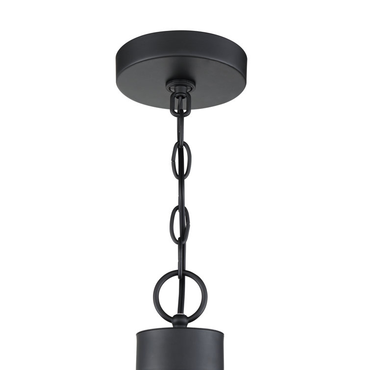 Flat Black Globe Cluster Pendant Light with Clear Glass Shades