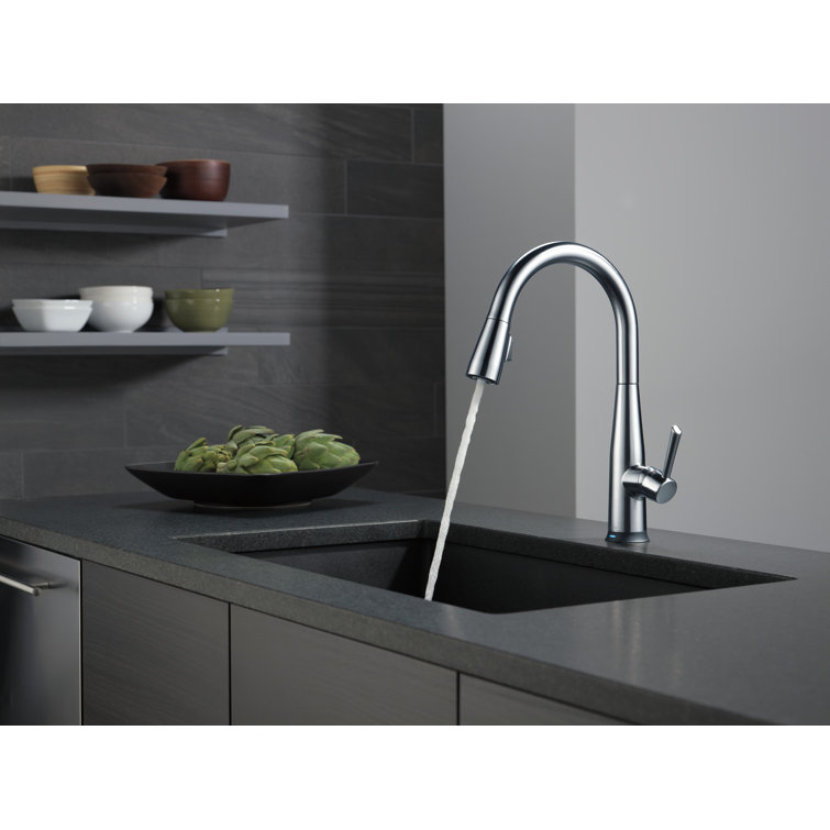 Arctic Stainless Steel Modern Pull-Down Kitchen Faucet with Voice Control