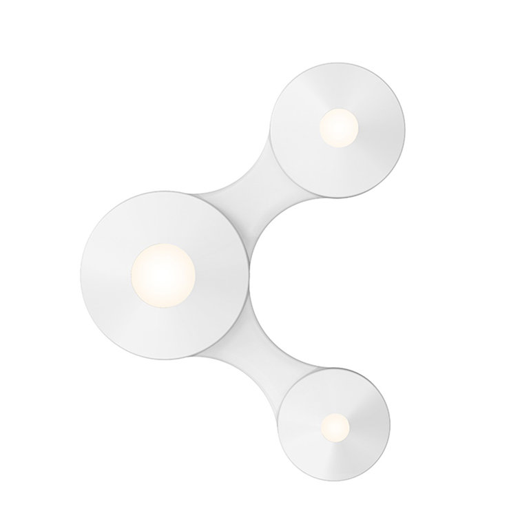 Satin White Aluminum Coral LED Indoor/Outdoor Surface Mount