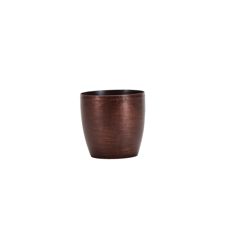 Thorsen's Easy-Care Live Jade Succulent in Copper Classic Pot