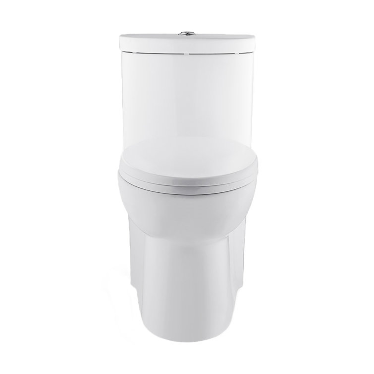 Glossy White Elongated Dual Flush One-Piece Toilet