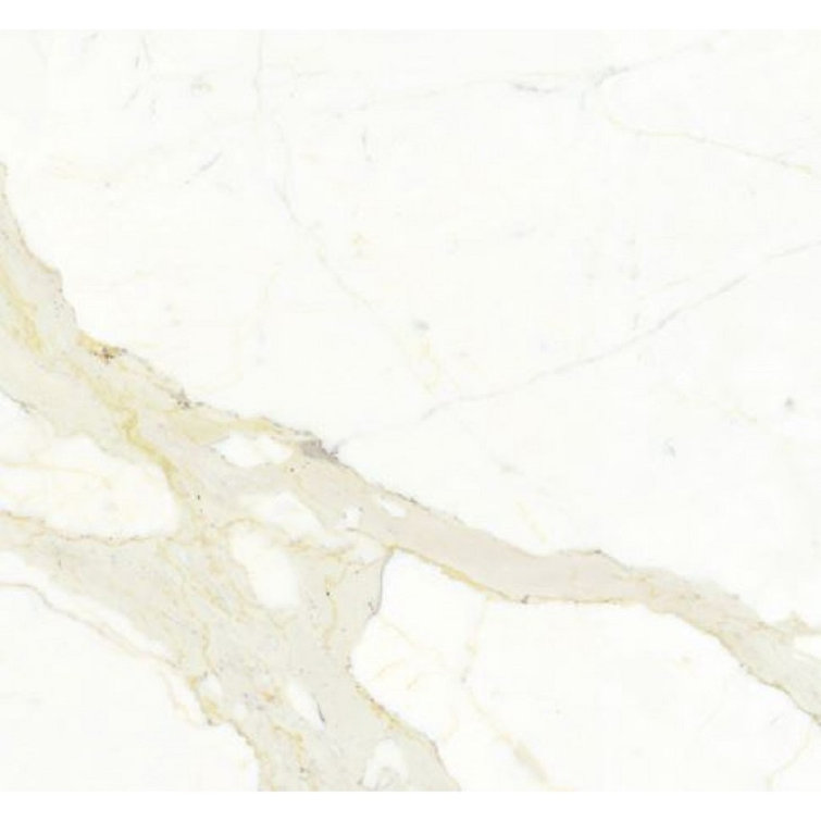 Calacatta White Matte Rectified Porcelain Floor and Wall Tile 24" x 24"