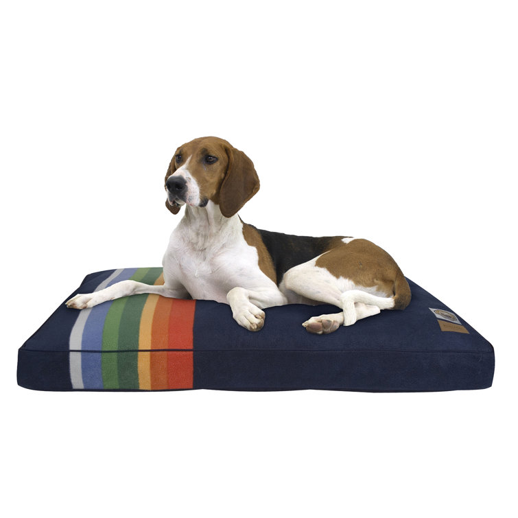 Medium Multicolor Striped Orthopedic Outdoor Pet Bed