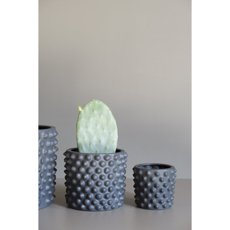 Gray Textured Ceramic Indoor Pot Planter