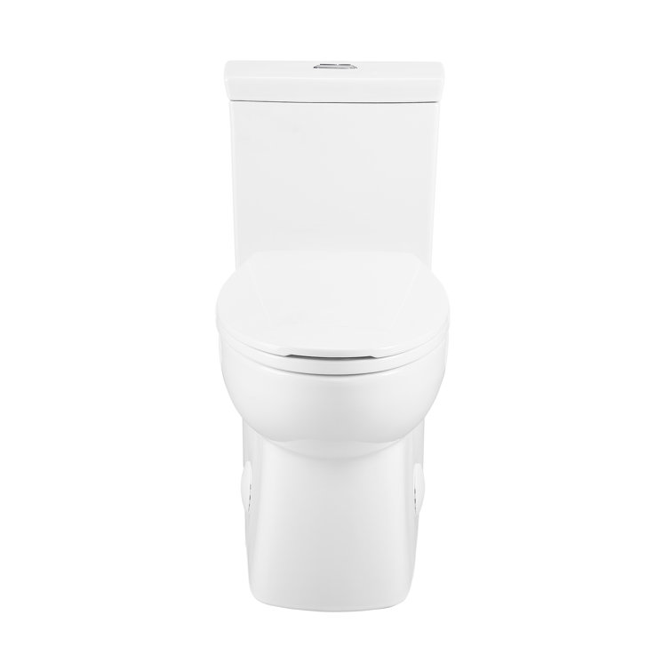 Glossy White Elongated Dual Flush One-Piece Toilet