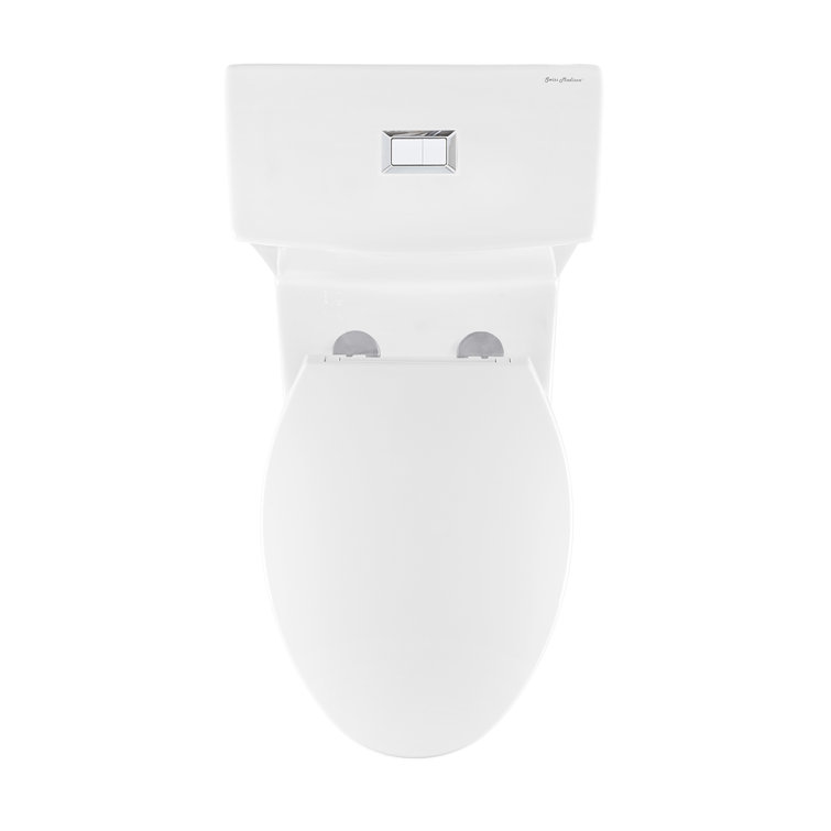 Glossy White Elongated Dual Flush One-Piece Toilet