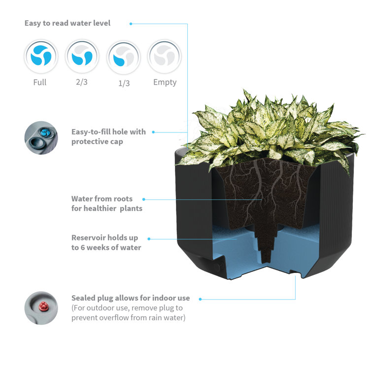 Caviar Black Modern Self-Watering Indoor/Outdoor Planter Box