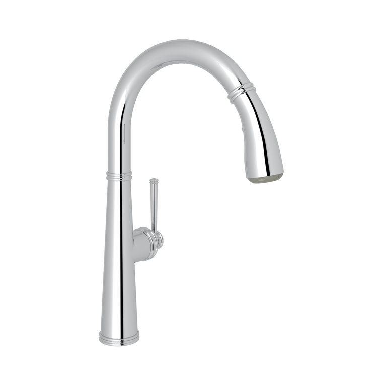 Polished Chrome Traditional Kitchen Faucet with Pull-out Spray