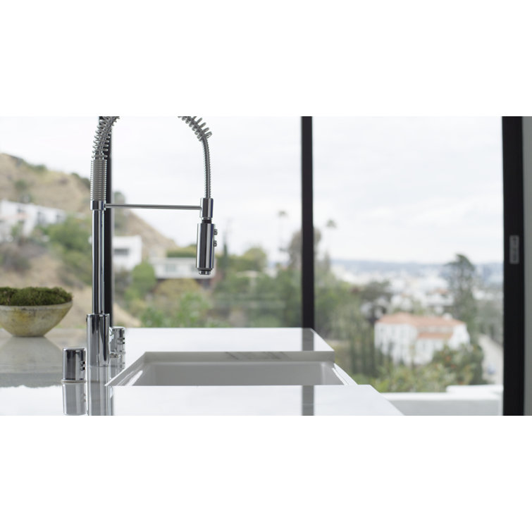 Contemporary Polished Nickel Kitchen Faucet with Pull-out Spray