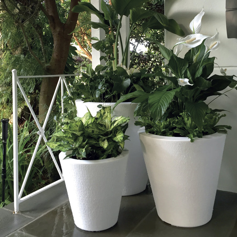 Alpine White Round Self-Watering Planter with Drainage Hole