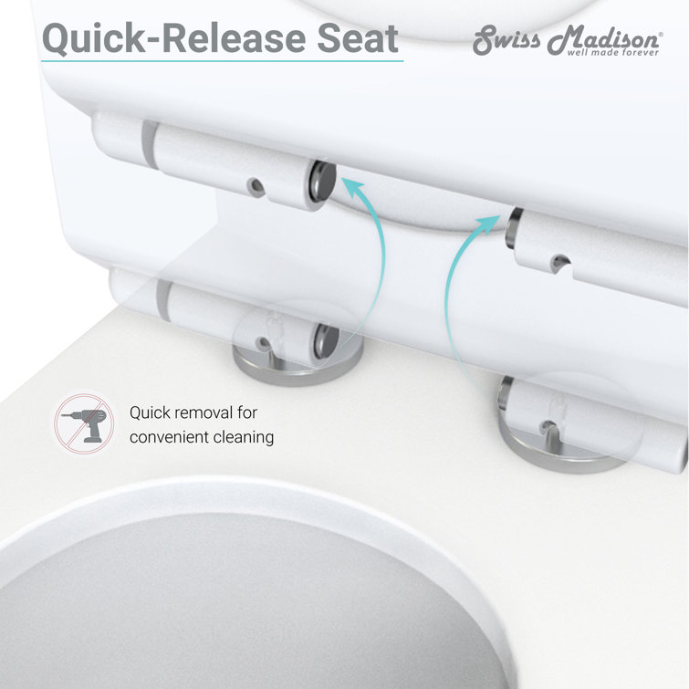 Glossy White Elongated Dual Flush One-Piece Toilet