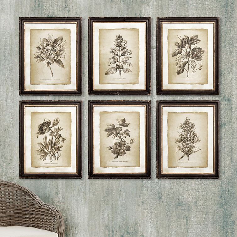 Set of 6 Vintage Botanical Framed Prints with Black and Gold Accents
