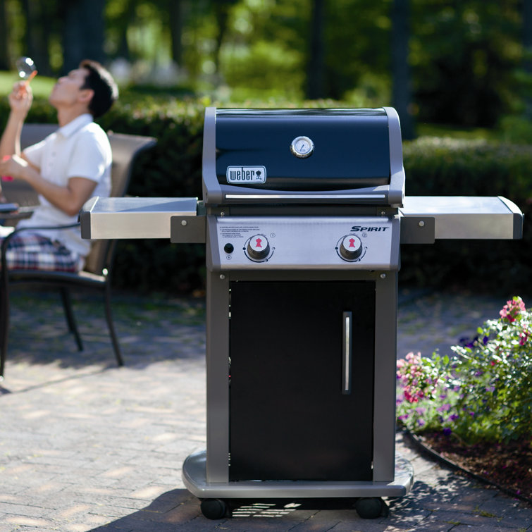 Black Stainless Steel 2-Burner Propane Gas Grill with Rotisserie