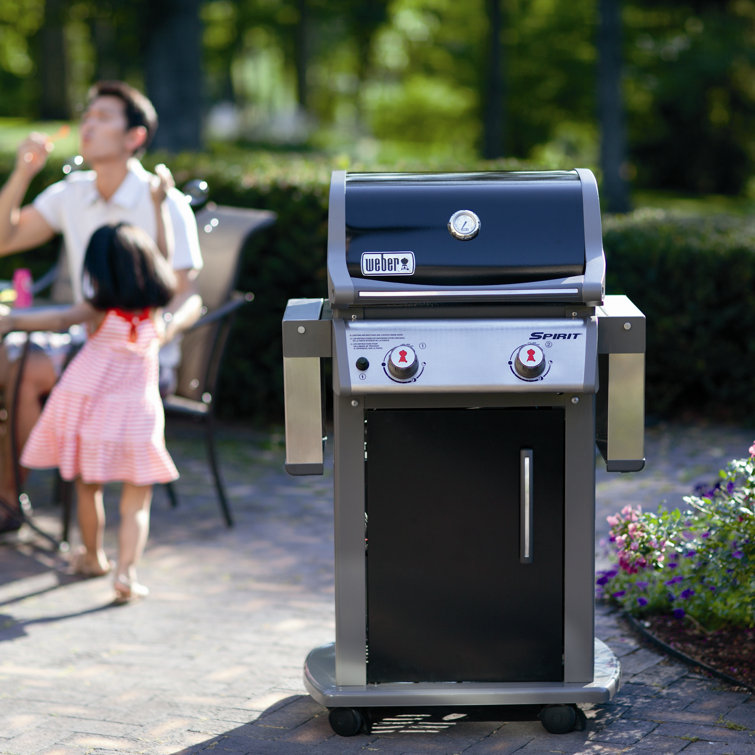 Black Stainless Steel 2-Burner Propane Gas Grill with Rotisserie