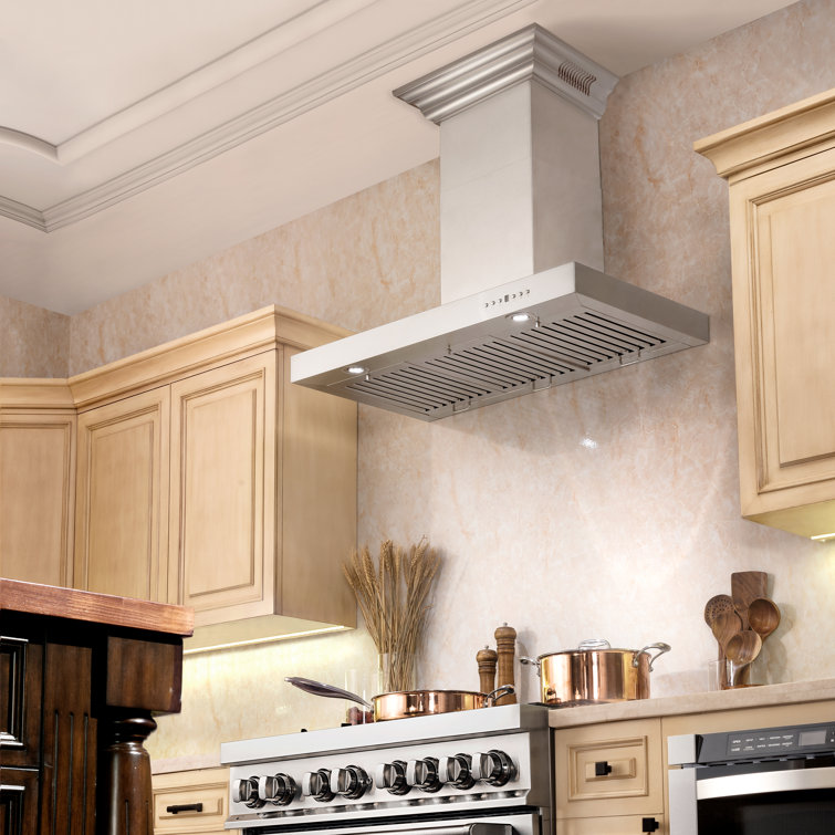 Stainless Steel Wall Mounted Range Hood with Charcoal Filter