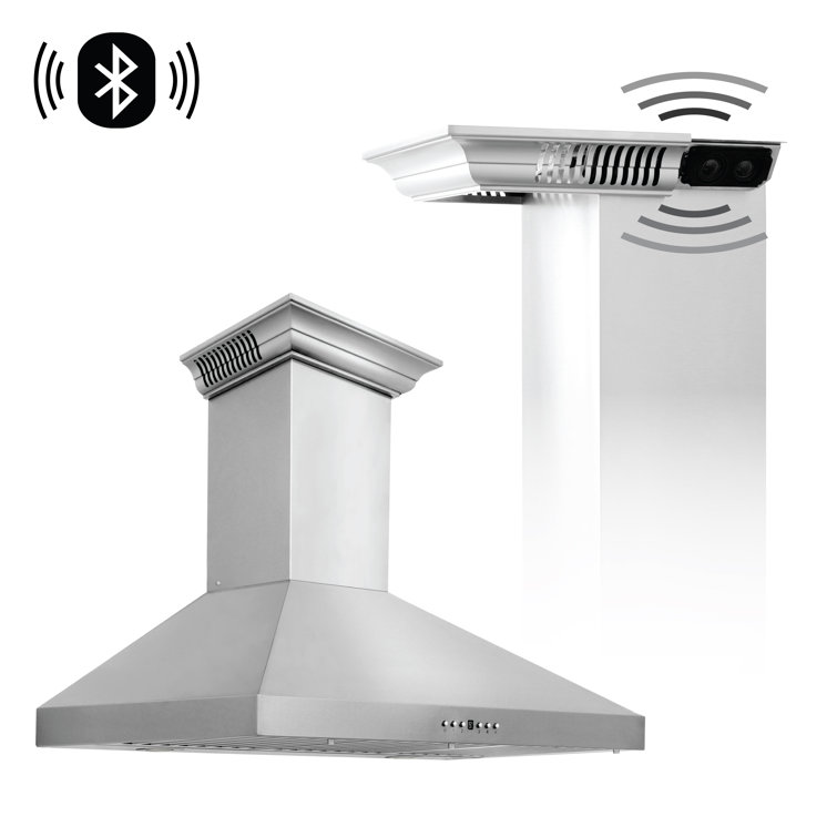 30" Stainless Steel Wall Mount Range Hood with Charcoal Filter