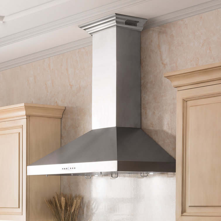 30" Stainless Steel Wall Mount Range Hood with Charcoal Filter