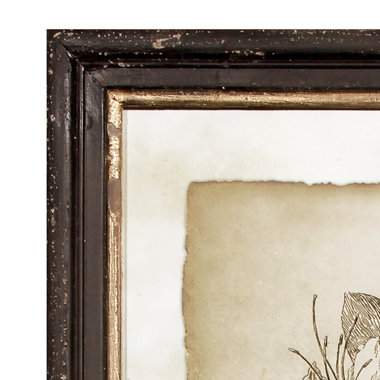 Set of 6 Vintage Botanical Framed Prints with Black and Gold Accents