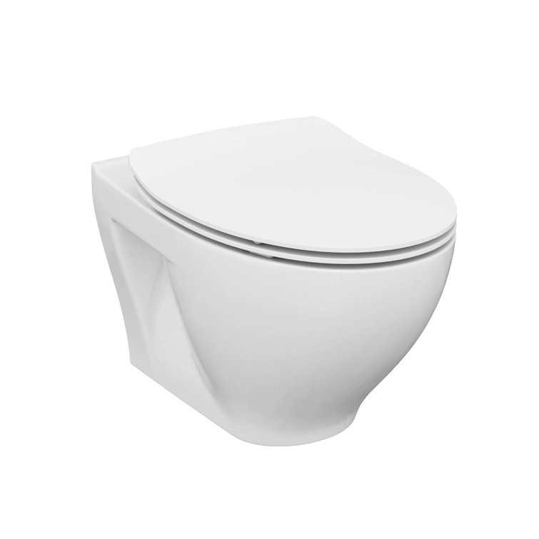 Chrome Dual-Flush Wall-Mount Elongated Toilet with Seat