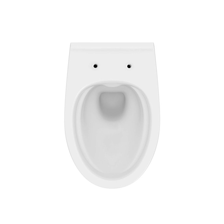 Chrome Dual-Flush Wall-Mount Elongated Toilet with Seat
