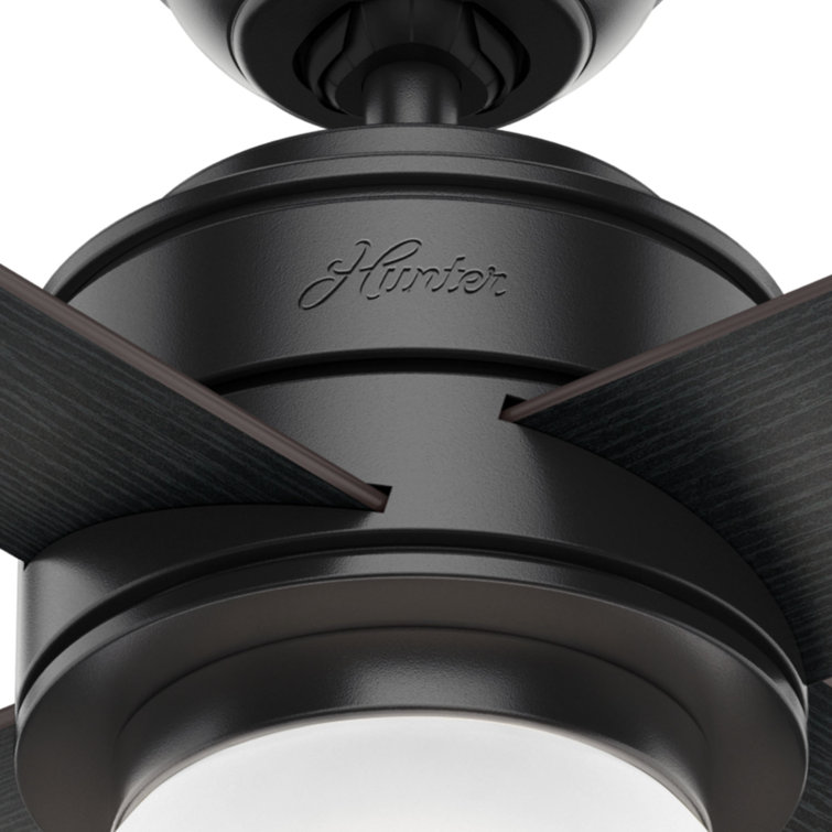 52" Matte Black Ceiling Fan with Globe Light and Wall Control