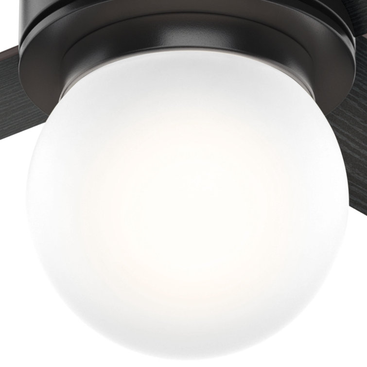 52" Matte Black Ceiling Fan with Globe Light and Wall Control