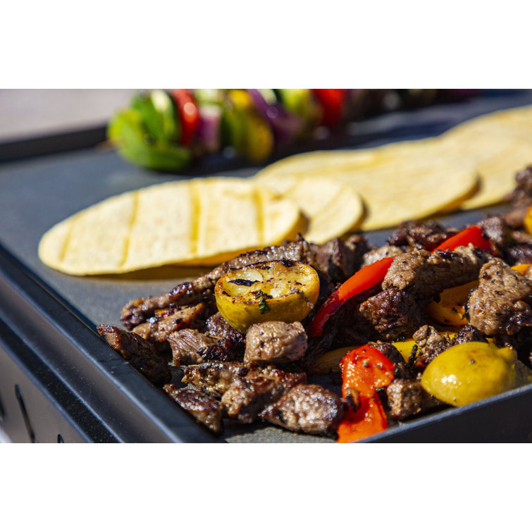 Stainless Steel 2-Burner Portable Outdoor Gas Griddle