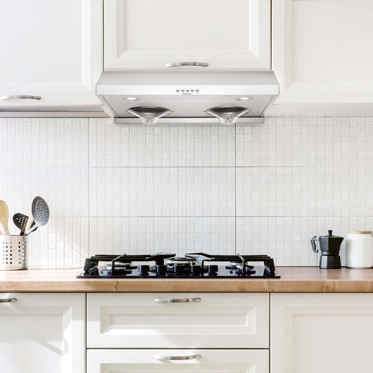 Hauslane 30" Stainless Steel Under Cabinet Range Hood with Charcoal Filter